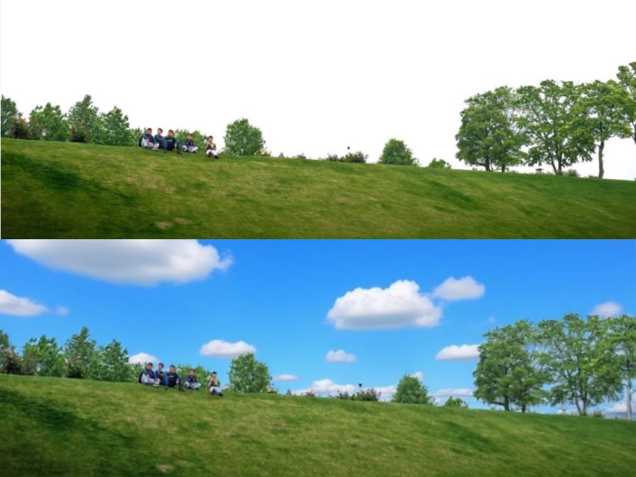 Flux Kontext & Dreamface Prompts for Style Transfer I