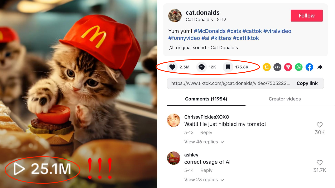 How to Make a Faceless AI Video of a McDonald's Cat with 25M Views?