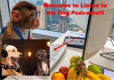 How to Create an AI Dog Podcast That Hits 3.6M Views?