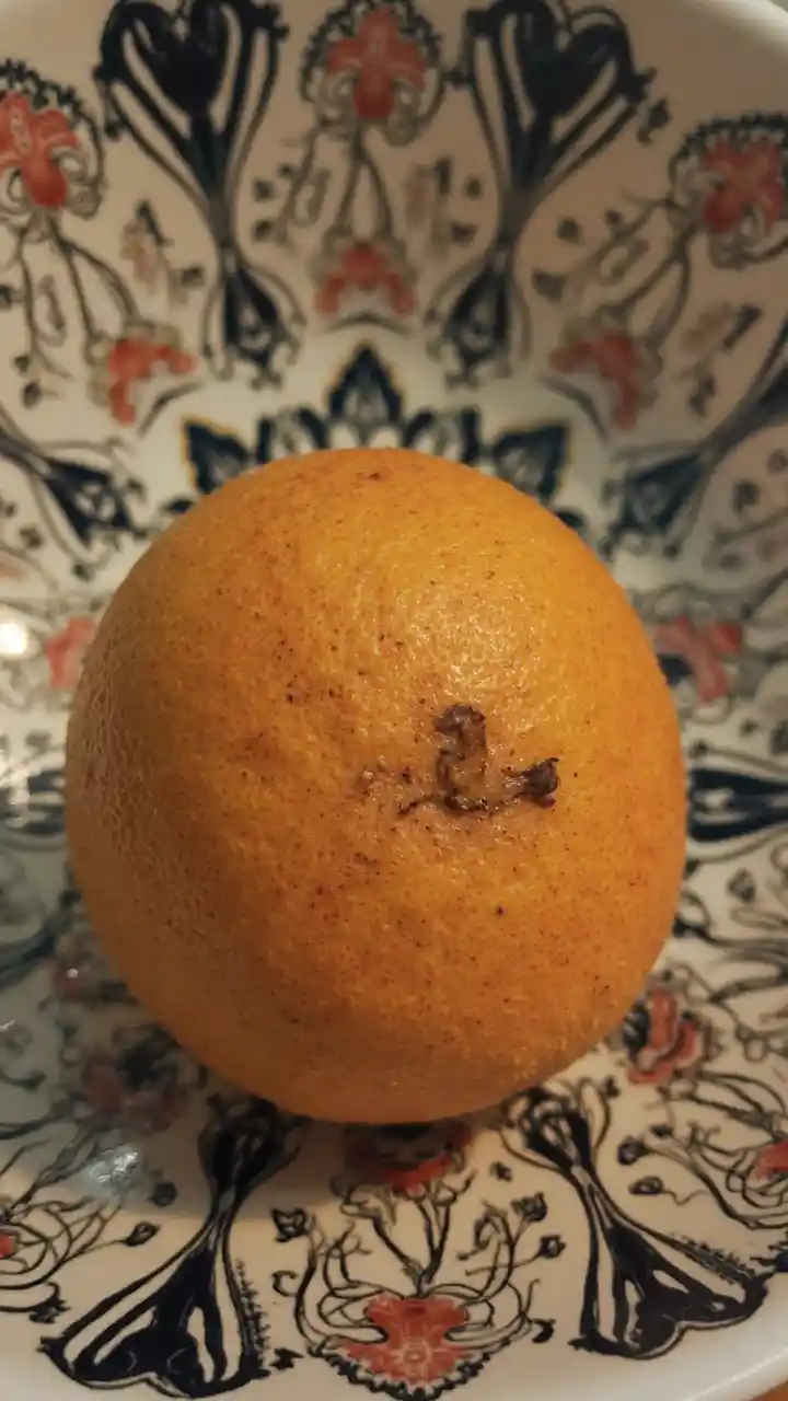 Kuweka Quince Mwongozo