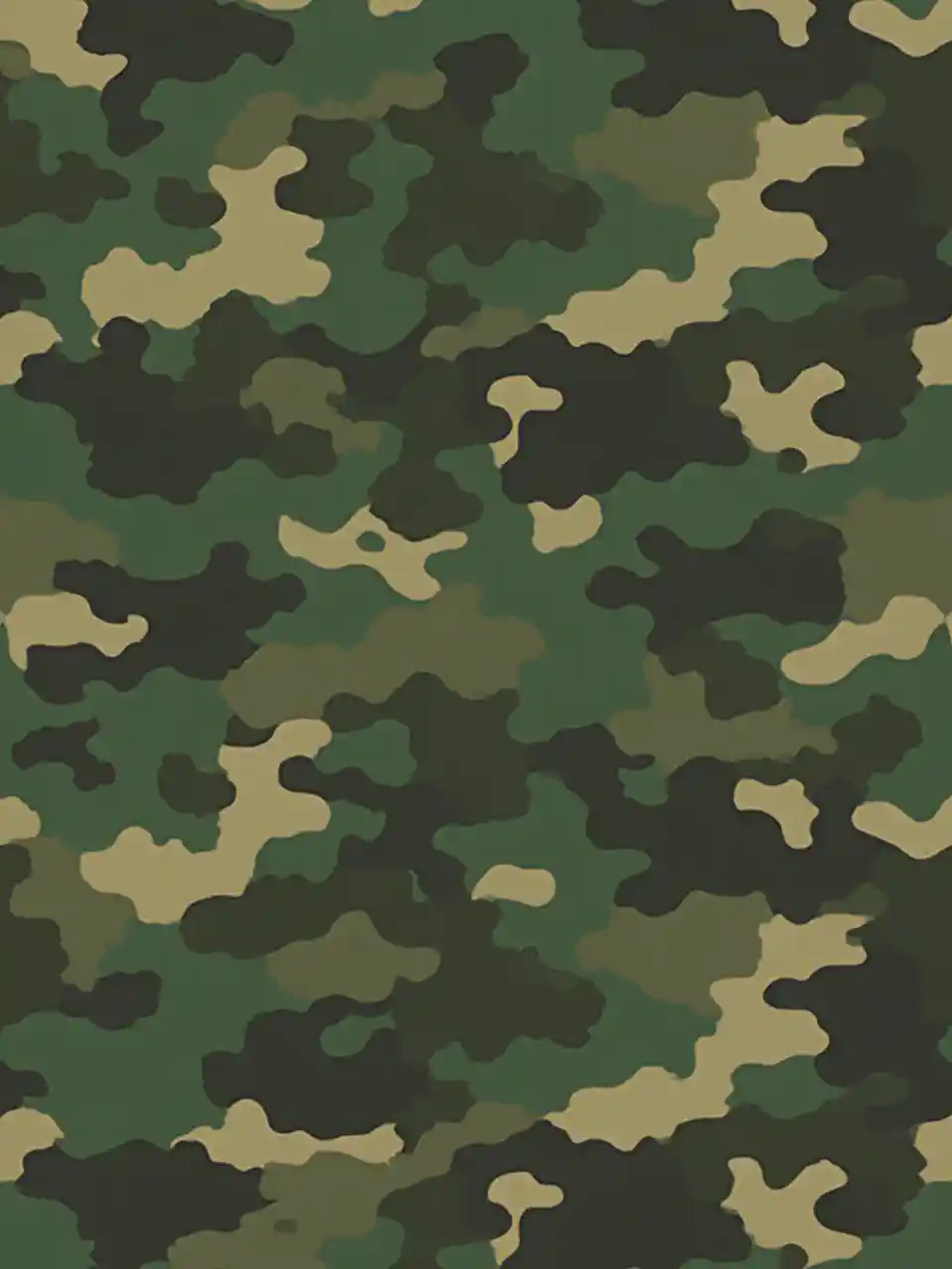 Camouflage vectoriel