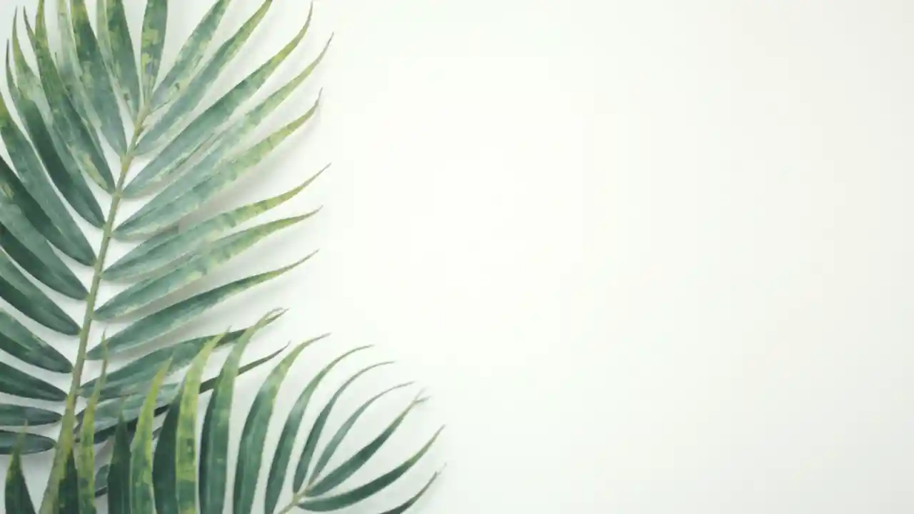 Papier peint feuilles de palmier