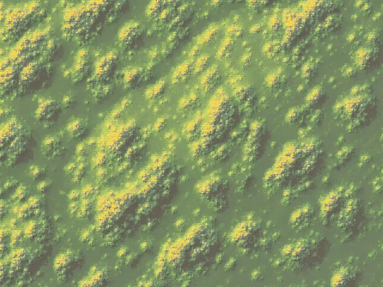 Concept de carte de hauteur