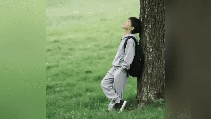 High-Definition Visuals