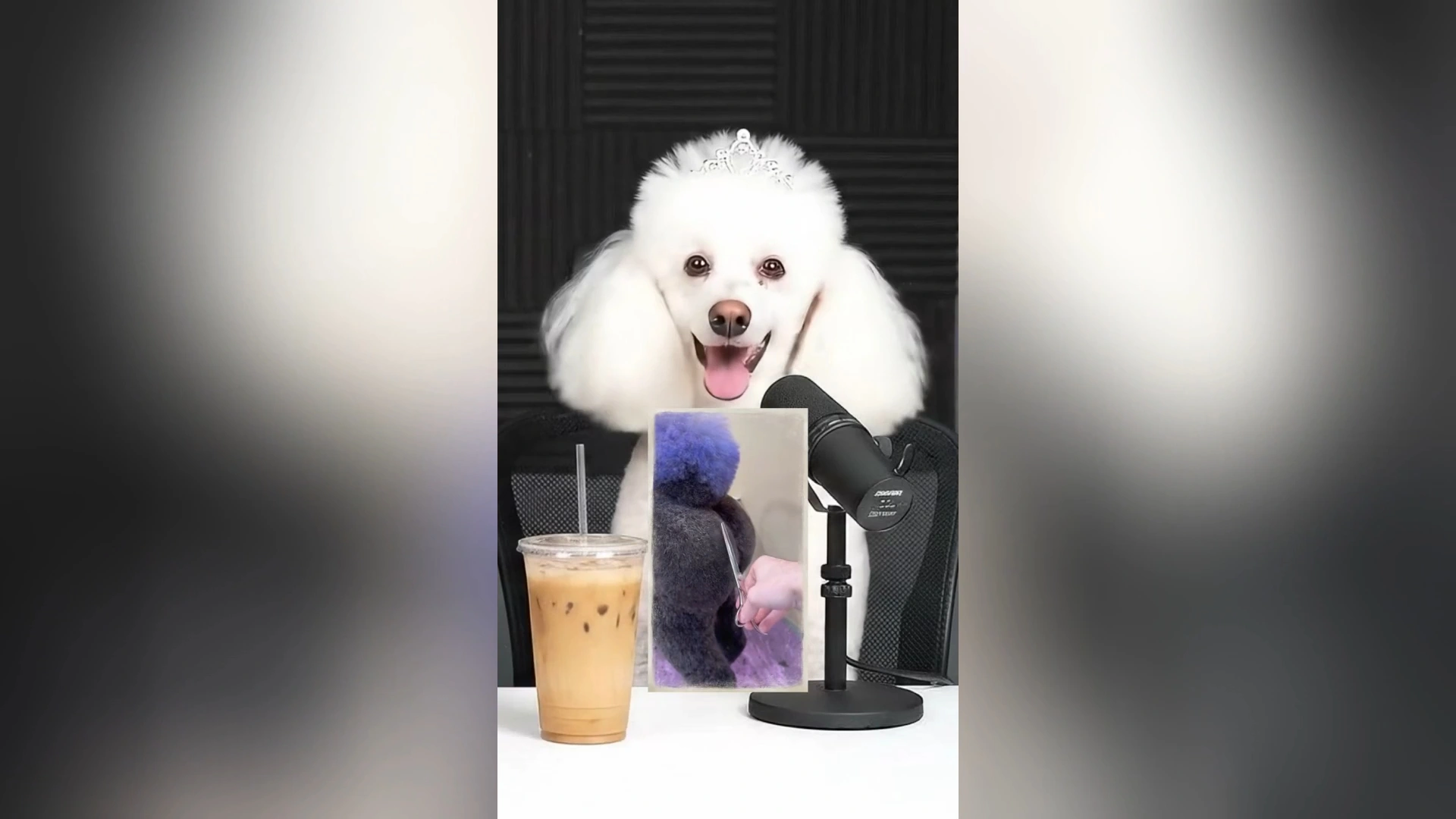 Perfect for TikTok and Social Media