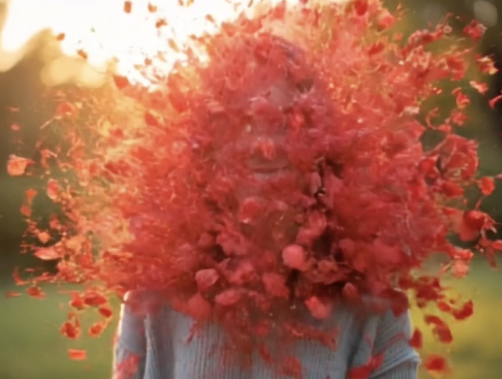 Petal Scattered AI Video Generator