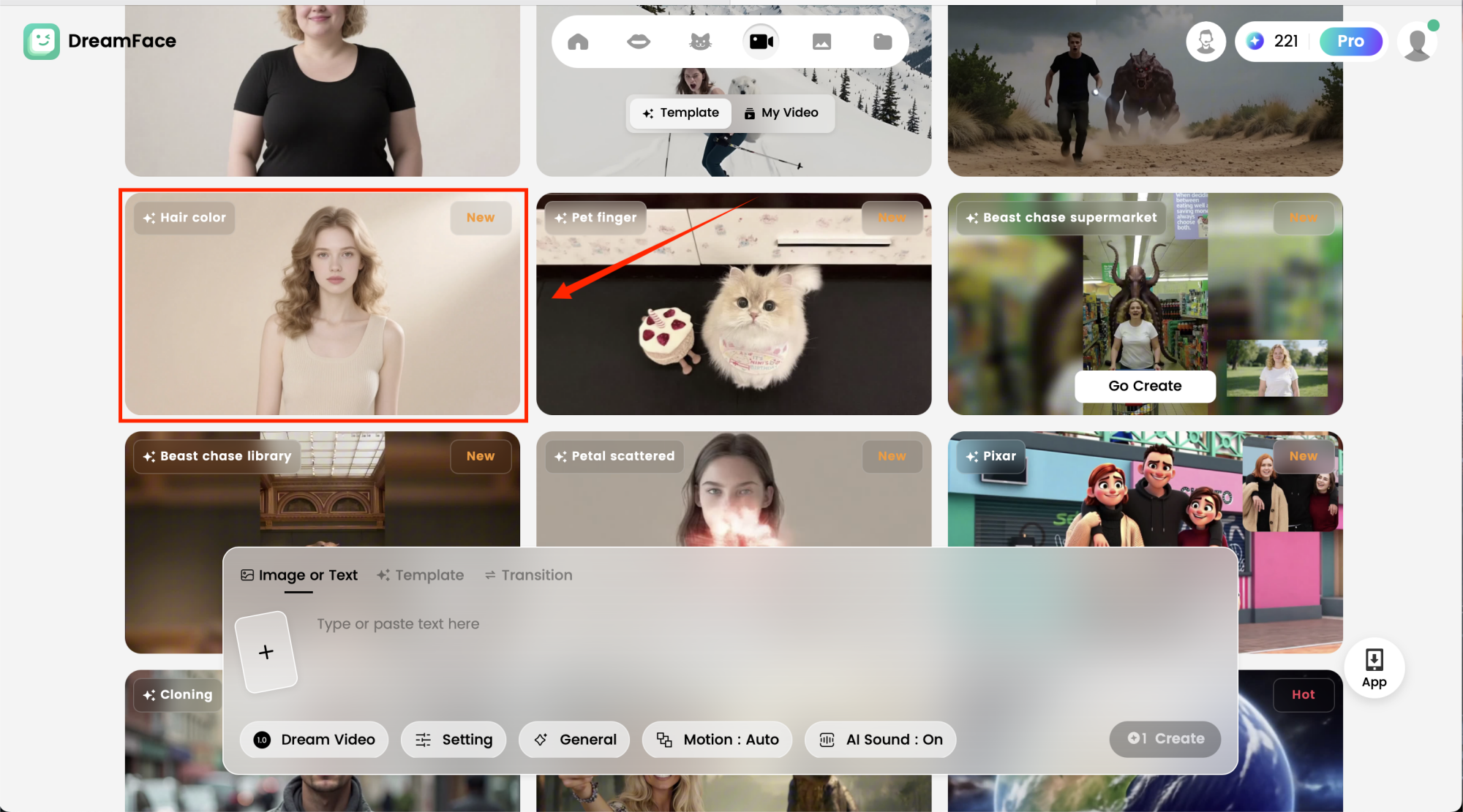 Select the Hair Color AI Template