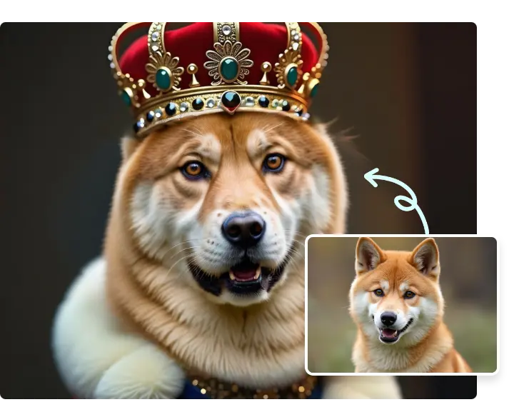 Custom Fit for Every Pet