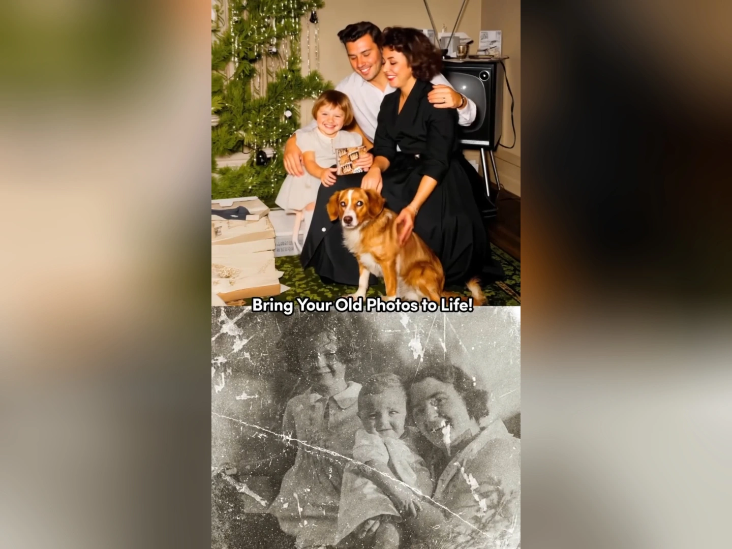 Shareable and Printable Animations