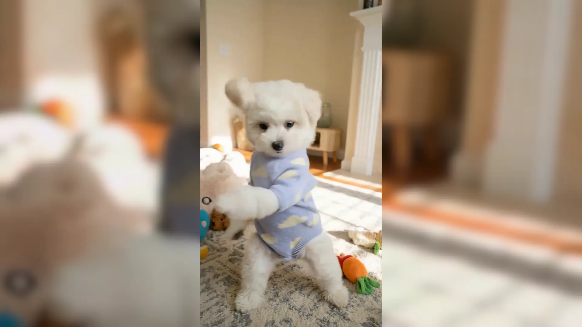 Dancing Dog Meme Generator