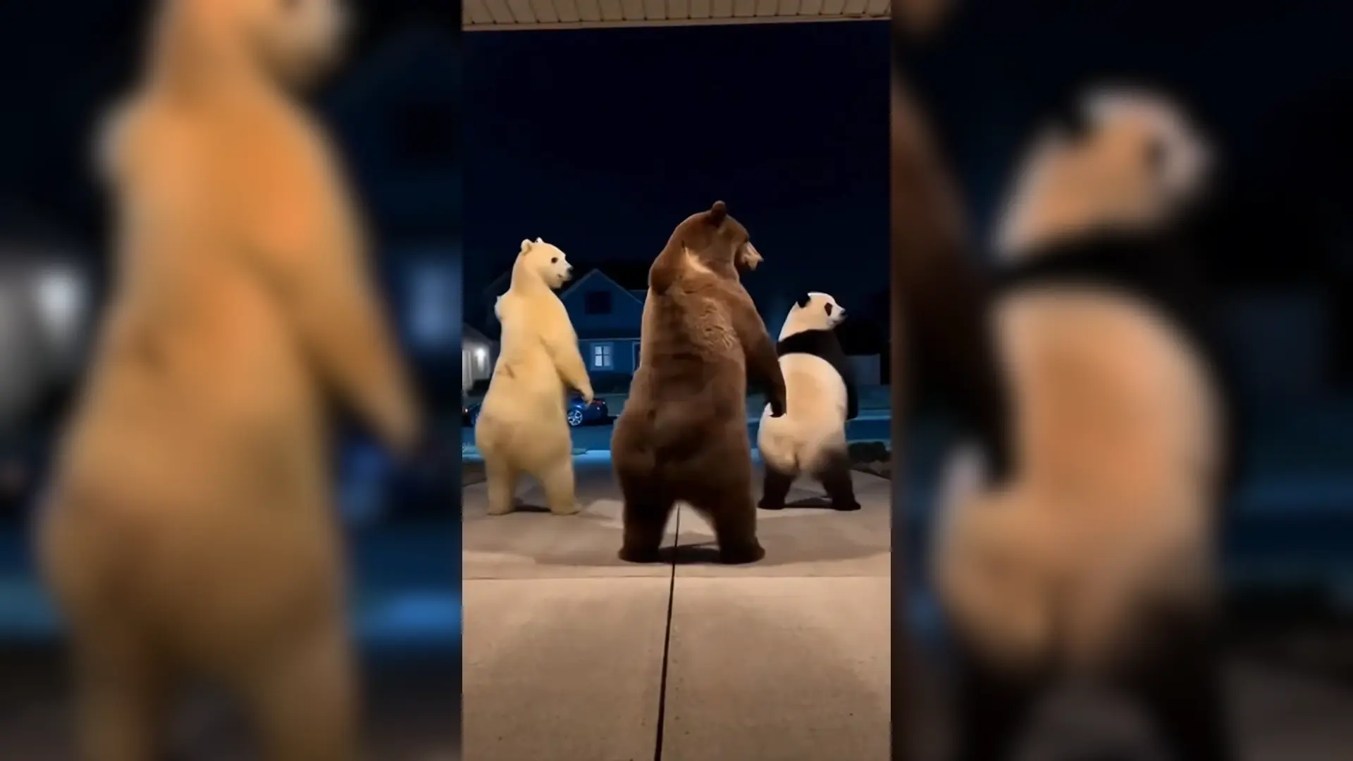 Bears Dancing AI Generator