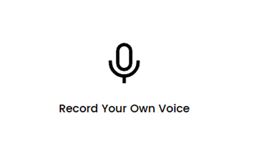 Record Your Voice Once