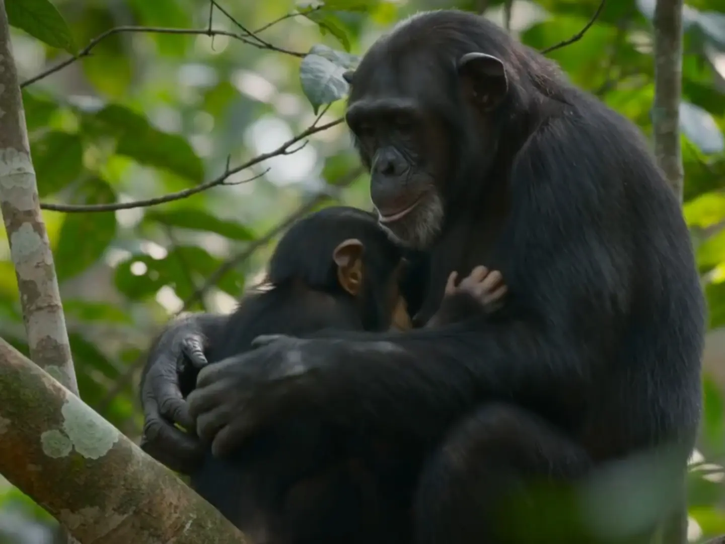 Defining Atmosphere through Visual Styles