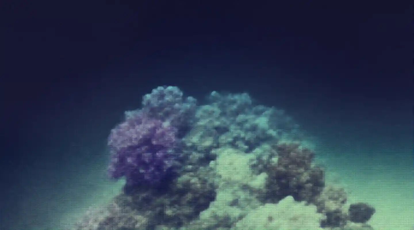 Deep Ocean Reef