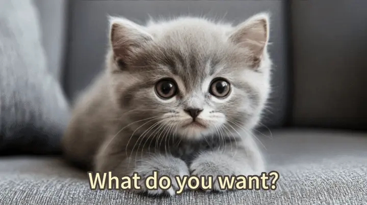 Perfect Timing and Expression Changes