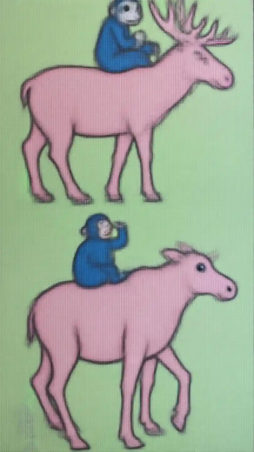 L'art du singe d'orignal