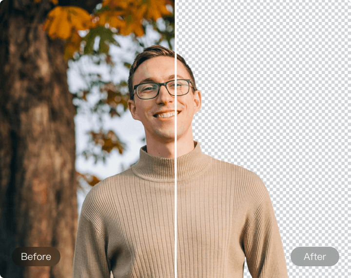 Accurate Background Removal