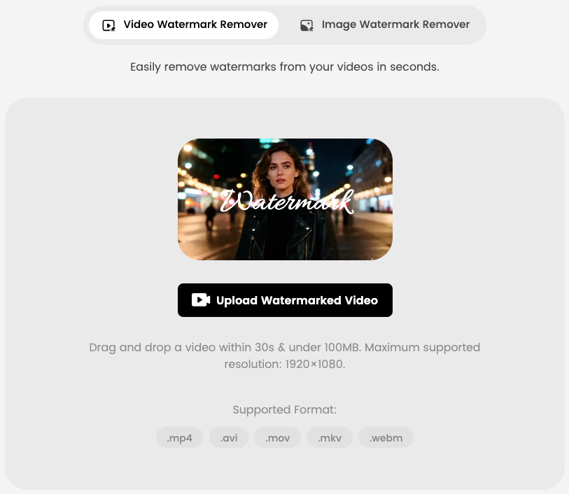 WatermarkRemover-Video.png
